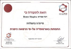 1דיקור יפני rotated