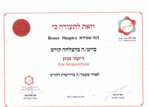 דיקור אוזן 1024x740 1