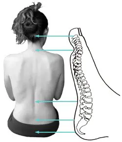 רפלקסולוגיה2